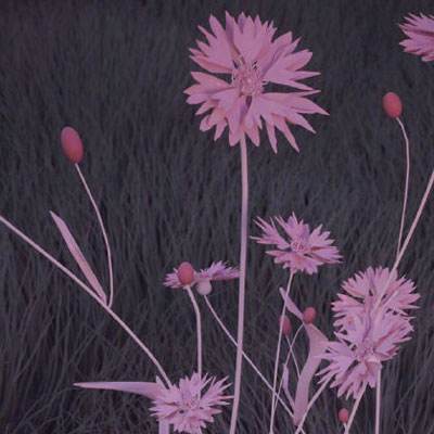 开云网kaiyun下载手机版截图