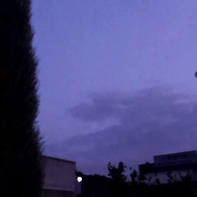 博鱼APP综合体育