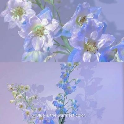 开云网kaiyun下载手机版