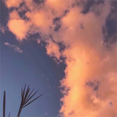 半岛网页版app下载截图