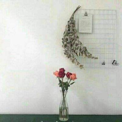 博鱼APP综合体育