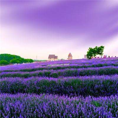 AG九游会手机app下载